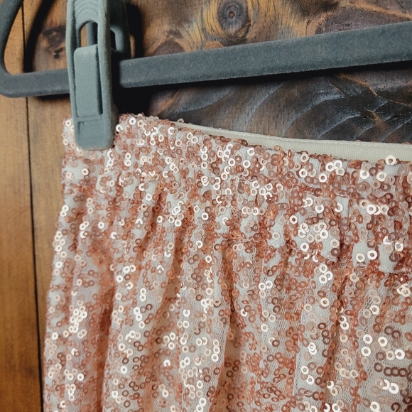 NWT AEO Rose Gold Sequin Mini Skirt - Picture 8 of 15